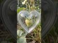 このいちごが伝える「I Love You」