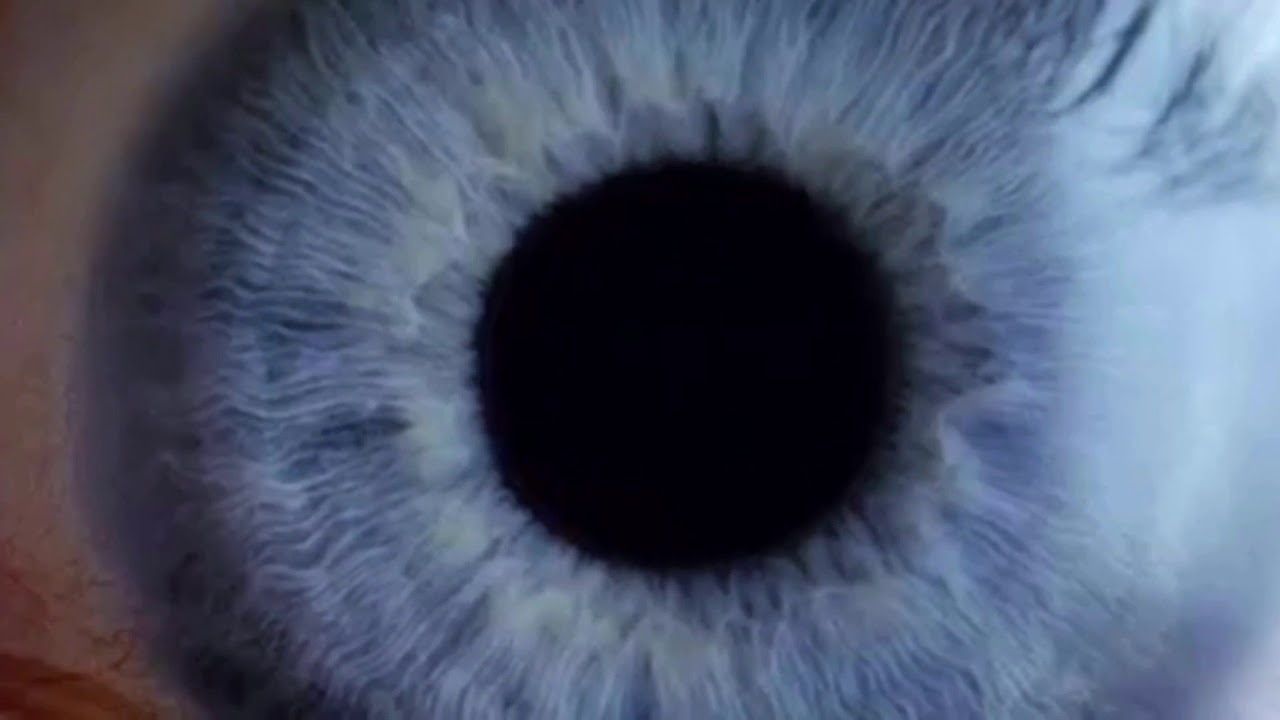 Dreamcrusher “Another Country” (FULL, June 2020)