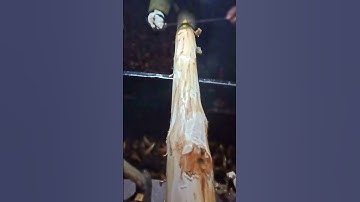 What’s Hiding Behind That Bark - Tree Bark Scraper Drawknife