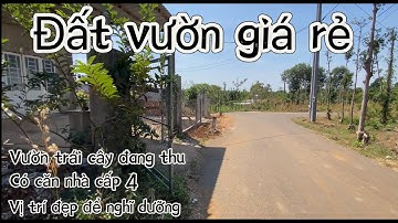 Cần tiền anh Cỏn bán mãnh vườn trái cây đang thu hoạch xã bàu chinh với giá, thích hợp xây nhà vườn