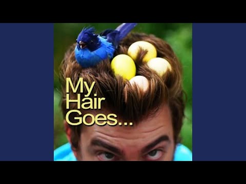 My Hair Goes... - Rhett and Link