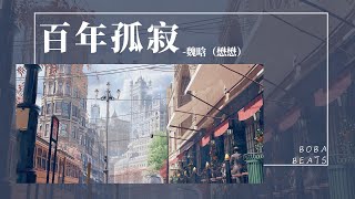 魏晗（懋懋） - 百年孤寂『悲哀是真的淚是假的 本來沒因果 一百年后沒有你也沒有我』【Lyrics Video】