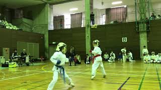 セナ20180415糸東流東京都大会-組手②