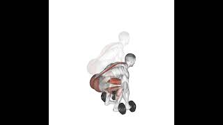 dumbbell deadlift neutral grip 1