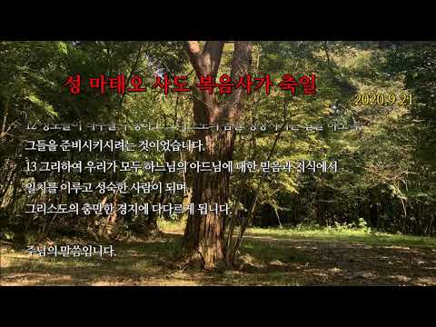 영상썸네일