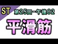 【ST：言語聴覚士国家試験・第25回PM2】平滑筋