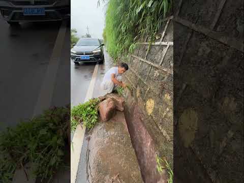 चाइना के लोग हिते है रिस्पोंसिबल #shortsfeed