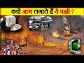 10 unique Fact || fact News ||10 गिने -चुने interesting तथ्य(Leon India)