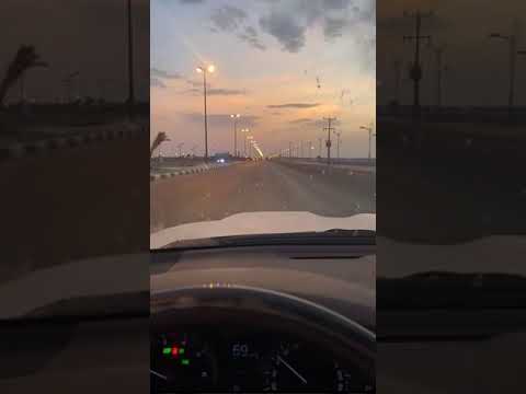 قصر الحياة يصبر العاقل على طول السكوت محمد المقحم بدون موسيقى