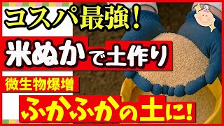 【知らなきゃ損！米ぬかで最強の土作り】野菜の成長が驚くほど変化する♪正しい使い方と注意点～初心者・家庭菜園～