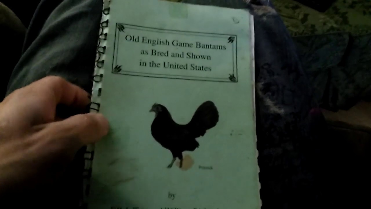 Book Review: Old English Game Bantams as Bred and Shown in the United States