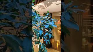 Free Your Mind 🤍 THE ReTREAT SPA