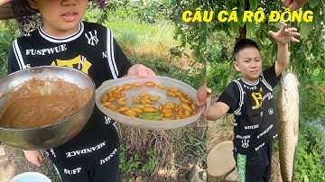 Câu cá rô đồng bằng mồi câu đơn giản hiệu quả | Mồi câu cá rô đồng