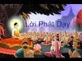 Lời Phật Dạy | Triết Lý Nhà Phật | Đời là Vô Thường