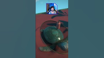 Viewfinder is secretly a horror game. #viewfinder #amazing #sofun #keymailer