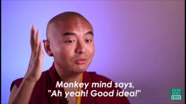 Buddhist Monk shares his Secrets of Meditation - DayDayNews