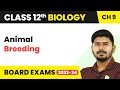 Animal Breeding - Strategies for Enhancement in Food Production | Class 12 Biology