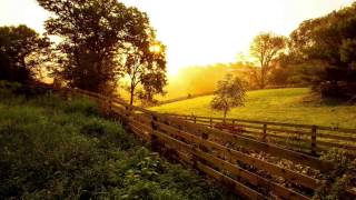 My Morning Jacket - Golden