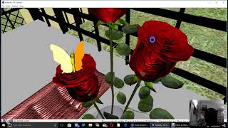 BUTTERFLY IN VRML SHORT VIDEO BY DVS