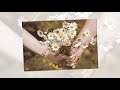 Шатунов ромашки 