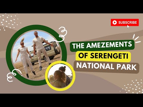 Serengeti National Park Feel It Visit It 
