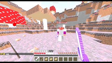 Hack Report [Babolous] | play.Timolia.de