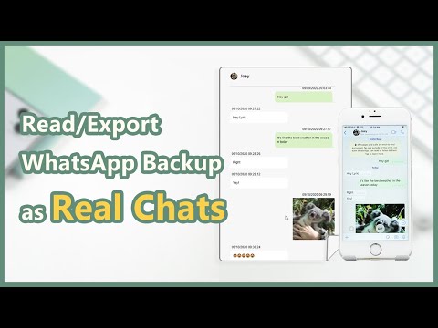 How to Export
