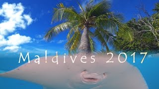 Maldives-Embudu, diving with big encounters-4K, 2017