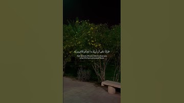محمد ديبيروف | سورة المؤمنون
