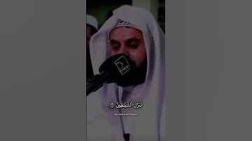 هَلۡ أُنَبِّئُكُمۡ عَلَىٰ مَن تَنَزَّلُ ٱلشَّيَٰطِينُ رعد الكردي #رعد_الكردي #سورة_الشعراء