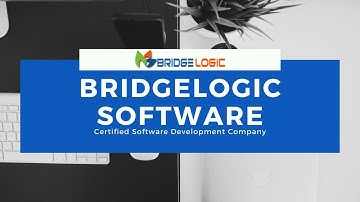 One of The Best Custom ERP Software Development Company - BridgeLogic Software