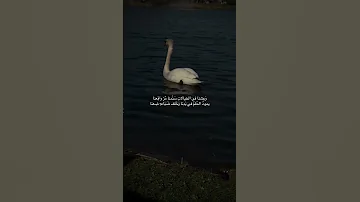وعشنا في الخيالاتي سئمنا مر واقعنا 