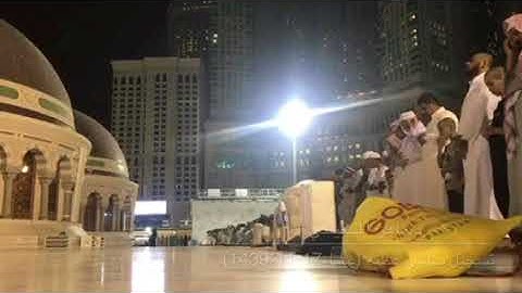 تلاوة مميزة من سورة الشعراء للشيخ ماهر المعيقلي (الإثنين 17-11-1439)