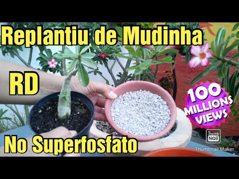 Vídeo: Informações sobre superfosfato: quando usar superfosfato no jardim