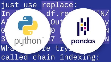 How to set a cell to NaN in a pandas dataframe