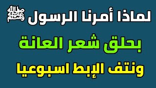 لماذا أمرنا الرسول ﷺ بحلق شعر العانة ونتف الإبط قبل أربعين يوما ؟ وحكم من تركها أكثر من أربعين ليلة؟