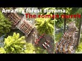 Amazing Forest Diorama - The Roman march