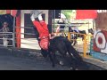 Mongolian horse rider amazing stunts