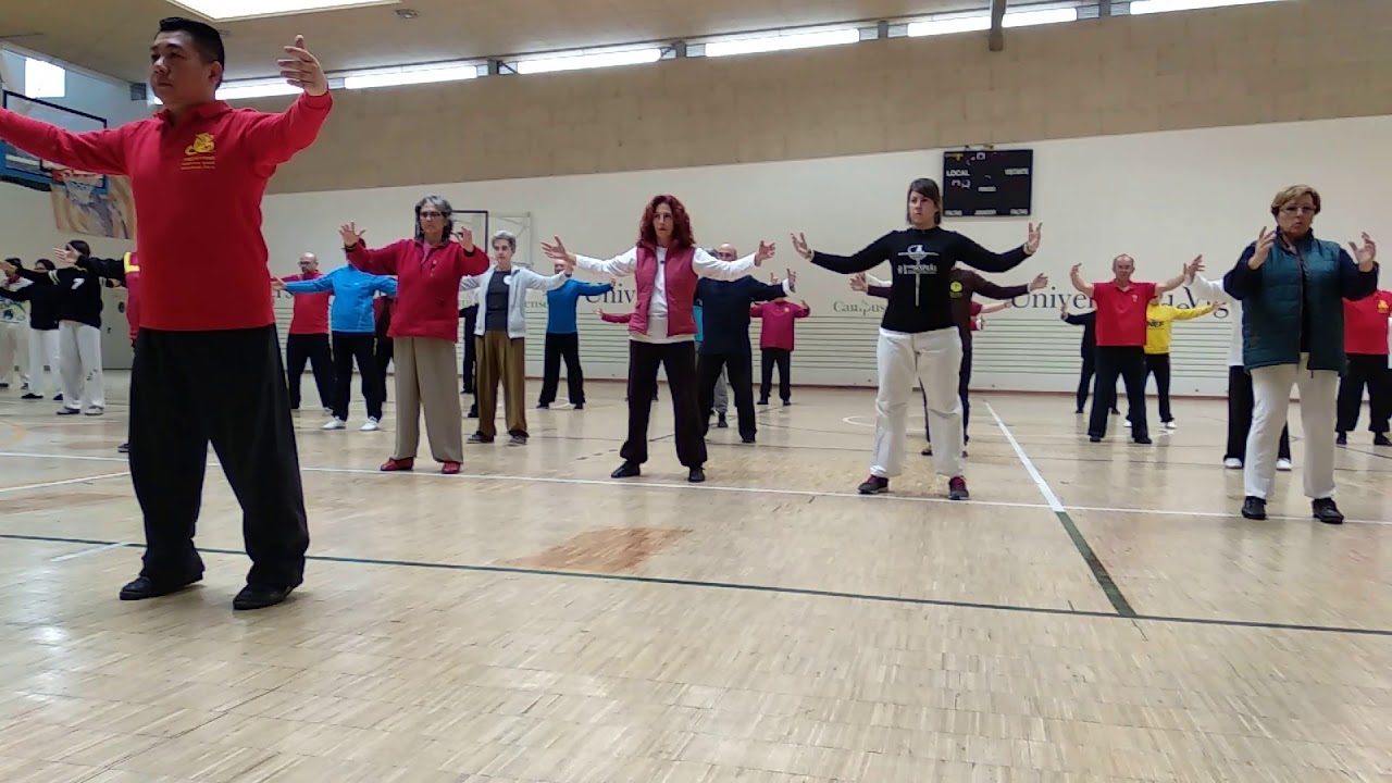 Yang Taichi Tradicional Forma 7 ejercicios con el Maestro Fu Qing Quan
