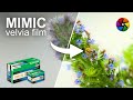 How to Make Your Photos Look Like Film (Darktable Velvia Module)