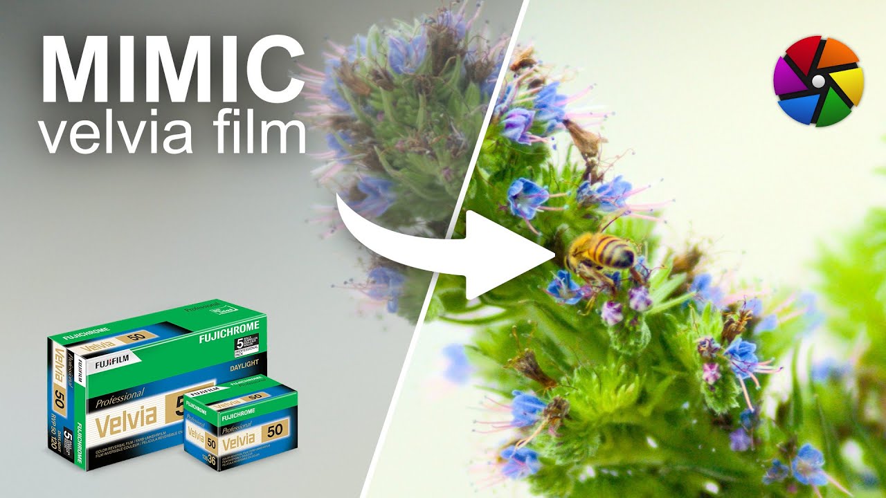 How to Make Your Photos Look Like Film (Darktable Velvia Module)