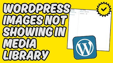 [Easy Fix] WordPress Images Not Showing in Media Library