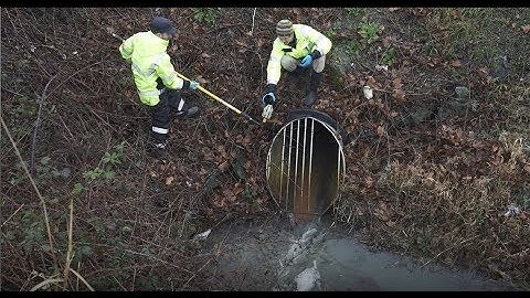 Tracking Bacteria with Chemical Signatures