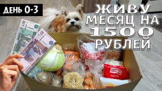 видео: Выживаю месяц на 1500 рублей. Осень 2024 год. День 0-3. картинка: Выживаю месяц на 1500 рублей. Осень 2024 год. День 0-3.