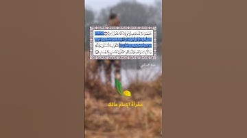 تلاوة مختارة خاشعة من سورة المائدة || يسألونك ماذا أحل لهم || القارئ عماد حرابي