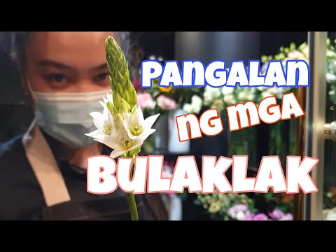 Video: Ano Ang Mga Bulaklak Na Tumutugma Sa Iba't Ibang Mga Pangalan