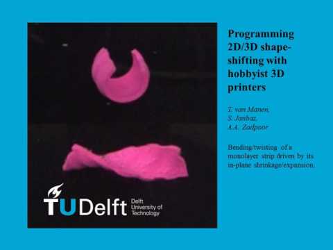 Bending/twisting of a 3D printed strip, TU Delft, Prof Amir A Zadpoor