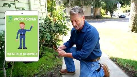 Pest Control Software 2018