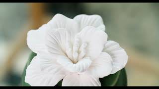 Bloom Porcelain Essential Oil Diffuser | Airomé | Aromatherapy | Home Fragrance | Essential Oils