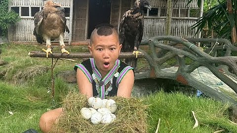 Amazingly the boy and his eagles discovered strange eggs! Cooking Boy